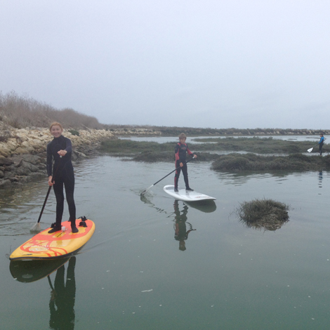 stand-up-paddle