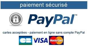 logo paypal logo